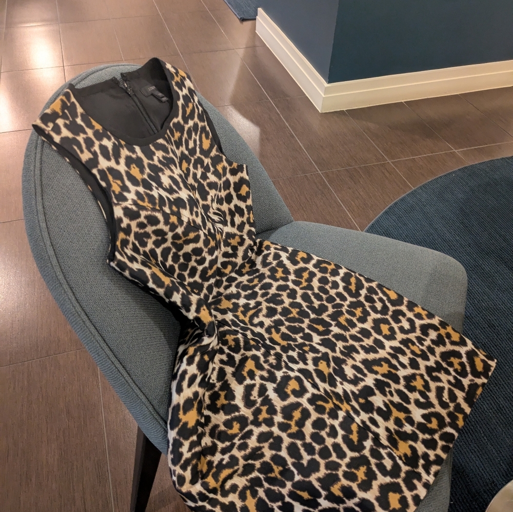 Petite dress